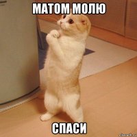 матом молю спаси