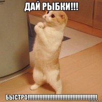 дай рыбки!!! быстро!!!!!!!!!!!!!!!!!!!!!!!!!!!!!!!!!!!!!!!!!!