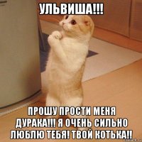 ульвиша!!! прошу прости меня дурака!!! я очень сильно люблю тебя! твой котька!!