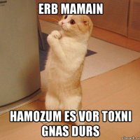 erb mamain hamozum es vor toxni gnas durs