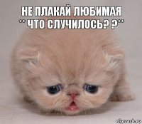 Не плакай любимая ** Что случилось? ?**