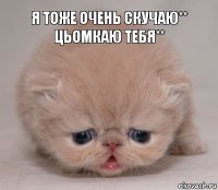 Я тоже очень скучаю** Цьомкаю тебя**