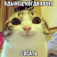 одынец, когда хочет сосать