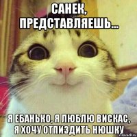 санек, представляешь... я ебанько, я люблю вискас, я хочу отпиздить нюшку