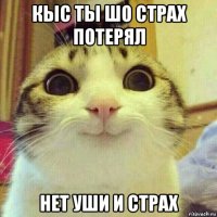 кыс ты шо страх потерял нет уши и страх