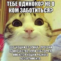 тебе одиноко? не о ком заботиться? ооо"кошки от эрика". прогони одиночество. купи себе друга. имеются кошки разного ассортимента.