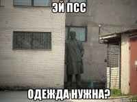 эй псс одежда нужна?