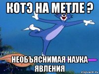 котэ на метле ? необъяснимая наука явления