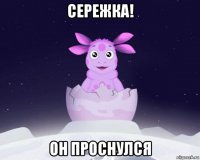 сережка! он проснулся