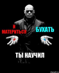 и материться бухать ты научил