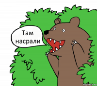 Там насрали