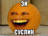 эй суслик