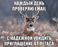 каждый день проверяю email с надежной увидить приглашение от пегаса