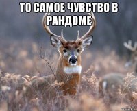 то самое чувство в рандоме 