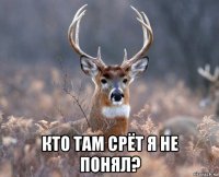  кто там срёт я не понял?