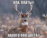 опа, платье! какого оно цвета?