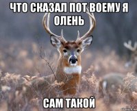 что сказал пот воему я олень сам такой