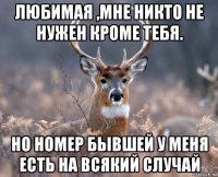 любимая ,мне никто не нужен кроме тебя. но номер бывшей у меня есть на всякий случай