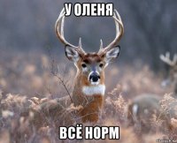 у оленя всё норм