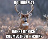 ночной чат какие плюсы совместной жизни?