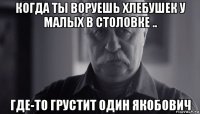 когда ты воруешь хлебушек у малых в столовке .. где-то грустит один якобович