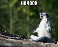 ничоси 