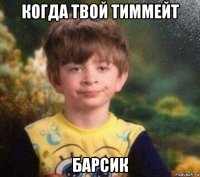 когда твой тиммейт барсик