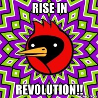 rise in revolution!!