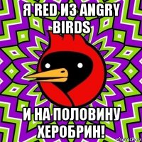 я red из angry birds и на половину херобрин!