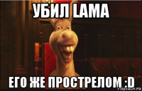 убил lama его же прострелом :d