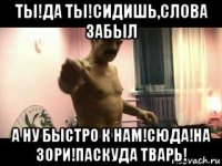 ты!да ты!сидишь,слова забыл а ну быстро к нам!сюда!на зори!паскуда тварь!