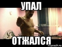 упал отжался