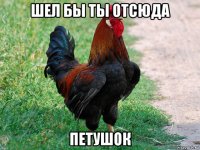 шел бы ты отсюда петушок