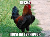 весна пора на турничок