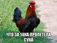  что за 14ка пролетела сука