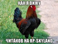 как я вижу читаков на rp-skyland