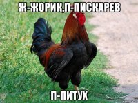 ж-жорик,п-пискарев п-питух