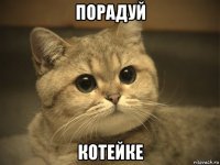 порадуй котейке