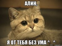 алин, я от тебя без ума ^_^