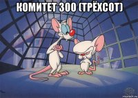 комитет 300 (трёхсот) 