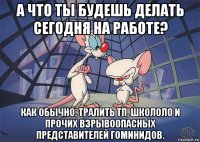 а что ты будешь делать сегодня на работе? как обычно, тралить тп, школоло и прочих взрывоопасных представителей гоминидов.