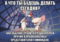 а что ты будешь делать сегодня? как обычно, тралить тп, школоло и прочих взрывоопасных представителей гоминидов.