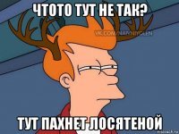 чтото тут не так? тут пахнет лосятеной