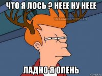 что я лось ? неее ну неее ладно я олень