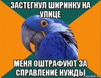 застегнул ширинку на улице меня оштрафуют за справление нужды