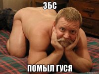 збс помыл гуся