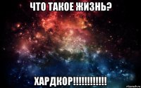 что такое жизнь? хардкор!!!!!!!!!!!!