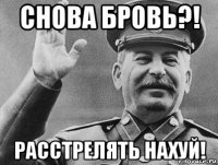 снова бровь?! расстрелять нахуй!