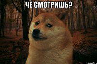 чё смотришь? 