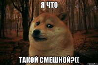 я что такой смешной?((